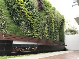 Muro Verde Green Wall Jardin Vertical Vertical Green Wall Green Roof System Wall Exterior