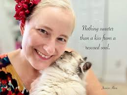 Advice for first time himalayan cat owner?