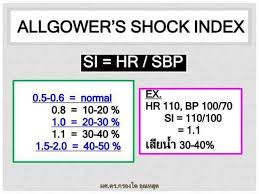 Image result for Shock Index