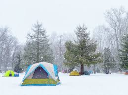 Some campsites are closed in winter. B C Officials Scrutinize Peace Arch Park Days Before Couples Brave Snow For Valentine S Day The Northern Light