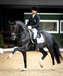 Edward was riding the delightful daisy in paris (by don frederico). Are Edward Gal Toto Jr Totilas Going To The Tokyo Olympics In 2021 In 2021 Riding Helmets Tokyo Olympics Olympics