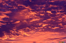 Silhouette images of green trees in sunsets on landscape orange and purple sunset. Colored Sunsets Image Purple Sunset Images Sunset 44612 Torange Biz Free Pics On Cc By License
