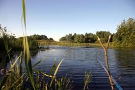 Looks like the link is there only to lure users from search engines. Hd Nature Wallpapers Zip File Free Download Hd Nature Wallpapers Nature Wallpaper Background Images Wallpapers