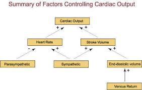 Causes Of High Pulse Rate With Normal Blood Pressure