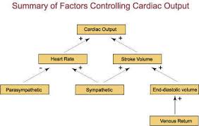 causes of high pulse rate with normal blood pressure