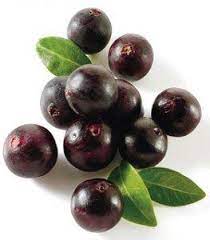 Brasil Acai Produzindo E Doando Saude Thoth3126 Acai Berry Fruit Acai Benefits