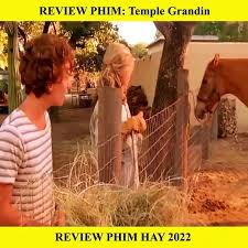 Review Phim Temple Grandin - video Dailymotion