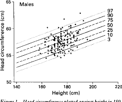 Pdf Centiles For Adult Head Circumference Semantic Scholar