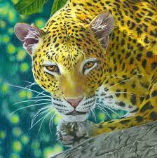 Download Beautiful Creatures Grayscale Adult Coloring Book Leopard Coloring Examples Huelish Grayscale Adult Coloring Books
