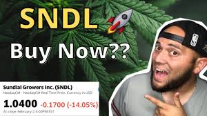 The consensus among wall street equities research analysts is that investors should hold sundial growers stock. Sndl Stock Analysis Is Sundial Growers Stock A Buy Now High Growth Stock Youtube