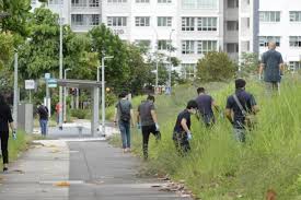 Book your tickets online for punggol waterway park, singapore: Man 20 Arrested For Punggol Field Murder Latest Singapore News The New Paper