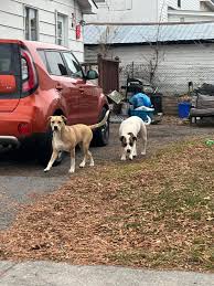 These sweet babies are