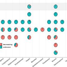 Image result for Monotes hypoleucus