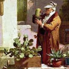There are many other types of succulents in the world, but they lack areoles, places where the thorns (spines) grow. Cacti And Other Succulents Due To Your Pictures We Will Give You The Names Uhlig Kakteen More Than 5 000 Different Species