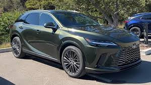 Image result for Nori Green 2023 UX