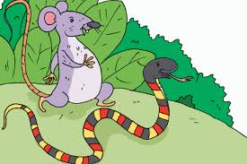 Gambar hewan anak sd kelas 2. Dongeng Tikus Dan Ular Kecerdikan Menumbuhkan Kebaikan Contoh Rpp Sd Dan Soal Sd