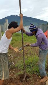 Cara kerja jasa strauss pile ini biasanya dalam satu alat bor dikerjakan dengan tenaga 2 manusia. Metode Dan Cara Pembuatan Pondasi Strauss Pile Manual Jasa Pondasi Strauss Pile Manual Bore Pile