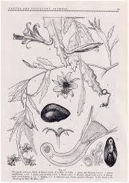 Best restaurants with a great location in mission grove shopping center. Myron Kimnach 1922 2018