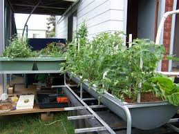 It will definitely also bring down carbon footprint of the food prodution and aquaponic systemsaquaponics systems utilize either a steady flow, or ebb as well as flow, design. Small Garden Design Backyard Aquaponics Unraveling The Science Behind Backyard Aquaponics