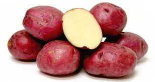 Champ is one of my favourite irish mash dishes. Norland Red Potatoes Resource Smart Kitchen Online Cooking School