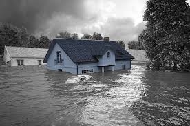 Maybe you would like to learn more about one of these? Flood Insurance 101 Hanson Ryan