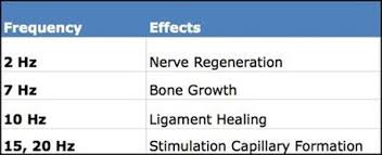 Frequency Pemf Therapy Information Pemf Devices Machine