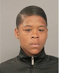 ᐅ Illinois Criminal Records 2009-2025