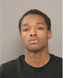 ᐅ Illinois Criminal Records 2009-2025