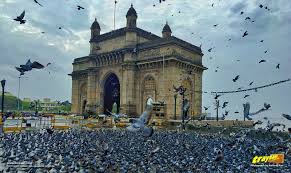 An enchanting monsoon morning at the ...