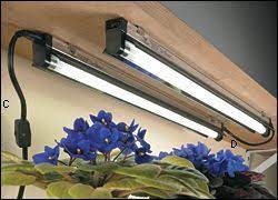 Ge lighting, a savant company. Under The Cabinet Grow Lights For An Herb Garden In The Kitchen With Images Full Spectrum Light Grow Lights Indoor Garden