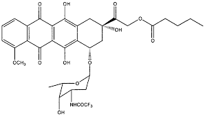 Image result for Valrubicin