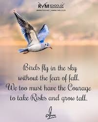 Birds Flying In The Sky Quotes Birds Fly In The Sky Without The Fear Of Fall We Too Must Have The Courage To Take Risks And Grow Tall Inspiration Motiv Fear Of Flying Fear Of Falling Fear
