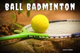 Ball storage, rolling sport balls cart, ball organizer for garage, garage organizer sport rack, ball basket storage with elastic straps, garage sports equipment organizer for kinds balls, kids toys 5.0 out of 5 stars 4 Ball Badminton Ball Badminton Game Rules Ball Badminton Facebook