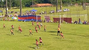 FINAL T.I.D.E.F.U SEMILLEROS...