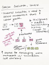 How To Sketchnote Science Brain Bonbons Read 285 reviews from the world's largest community for readers. how to sketchnote science brain bonbons