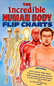 Each overlay, when raised, reveals the next deeper layer of anatomy. The Incredible Human Body Flip Charts By Moy Shing Yaw