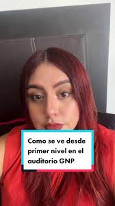 Vista desde el primer nivel del Auditorio GNP en Puebla