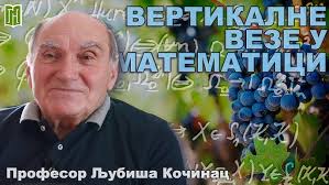 др Вања Станишић