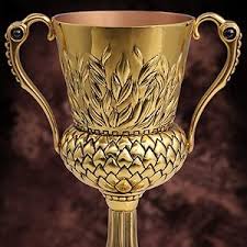 Amazon.com: Harry Potter, la Copa de Hufflepuff : Juguetes y Juegos