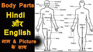 Colors name in hindi and english. Body Parts Name With Picture In Hindi English English Vocabulary Learn English Educational Video Youtube