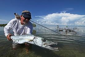 Fish Facts Grand Barracuda Sphyraena Barracuda Orvis News