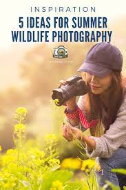 5 Ideas For Wildlife Photography In Summer Wildlife Photography Tips Wildlife Photography Photography
