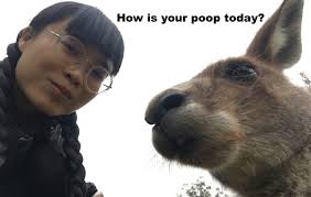 Alm Lab Member: An-Ni Zhang