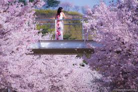 The song is sung by chen (also known as kim jongdae) a member of the top boyband exo. A Lookbook For A Trip To Japan And South Korea During Cherry Blossom Season Bruised Passports