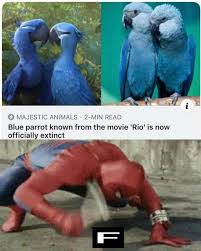 You Just Have To Say That You Re Fine Meme Compilation Funny Memes Compilation 2019 26 Funnytvofficial Has The Best Funny Pics Gifs Videos Gaming Anime Memes Really Funny Memes Crazy Funny Memes Funny Memes