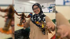 Check spelling or type a new query. Hyper Unggul Sdn Bhd