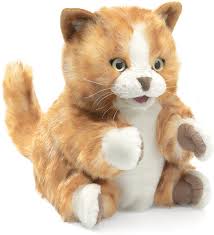 They occasionally call the typical domestic cat a tabby, but tabby isn't a cat breed it is really the routine of kitty's coat. Amazon Com Folkmanis Orange Tabby Kitten Hand Puppet Orange White 1 Ea Toys Games