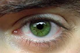 Images 400 265 Augen Farbe Grune Augen Augenfarbe
