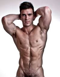 Top 10 des stars du porno gay – La Voix du X