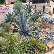 Maybe you would like to learn more about one of these? Orem Seeking Ordinance Change To Allow Xeriscaping In Front Yards Orem News Heraldextra Com